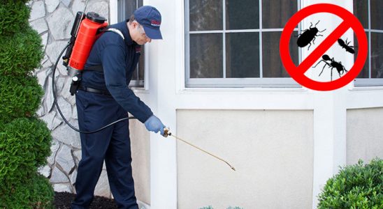 Sarıyahşi Karınca İlaçlama böcek ilaçlama ve haşere kontrolü — ilaclama-tr.com